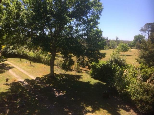 레스페론 Stemicar Dans Les Landes 아파트 외부 사진